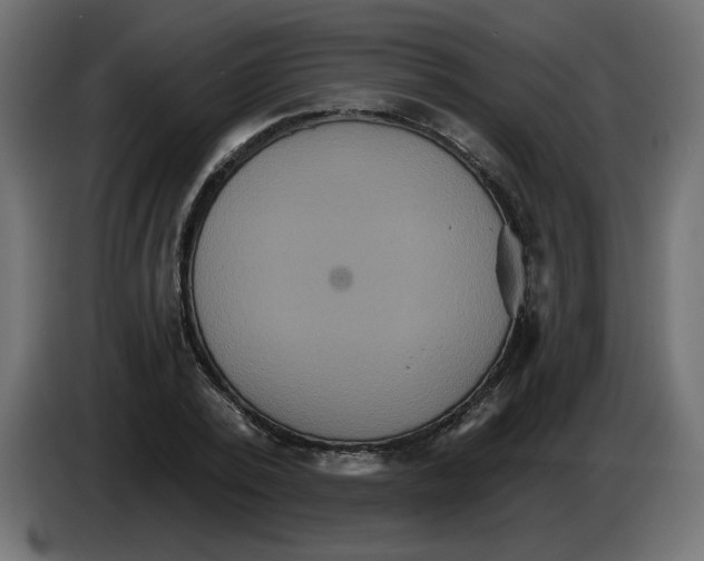 X0000084520784200703231630