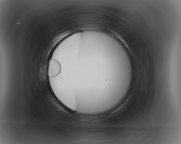 X0000084520786200703231629