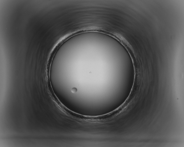 X0000084520789200703231629