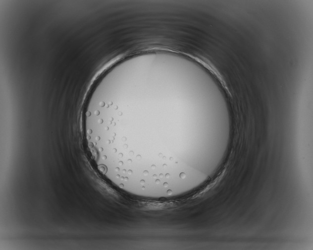 X0000084520790200703231629