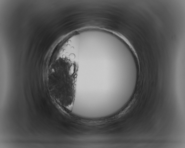 X0000084520791200703231629