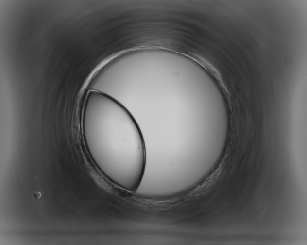 X0000084520792200703231629