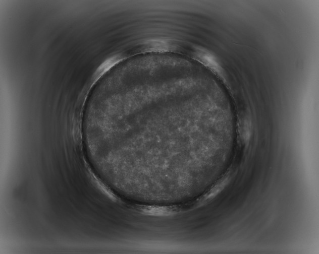 X0000084520794200703231629