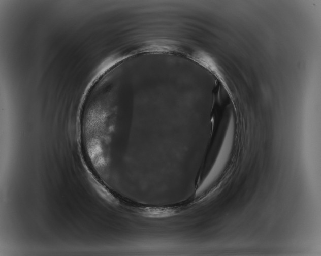 X0000084520795200703231629