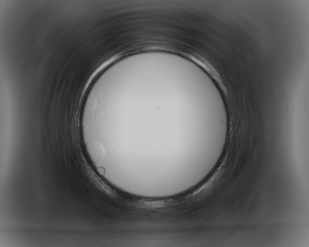 X0000084520798200703231629