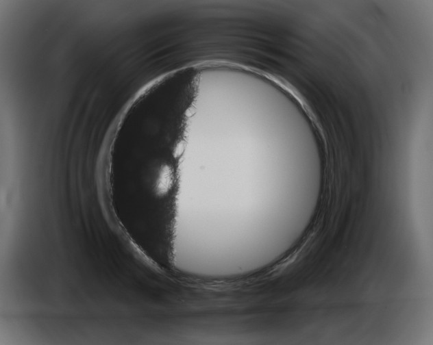 X0000084520799200703231629
