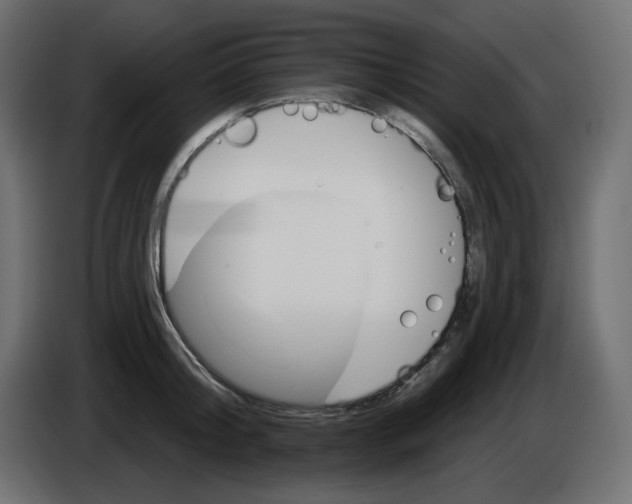 X0000084520804200703231629