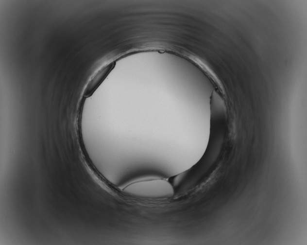 X0000084520805200703231629