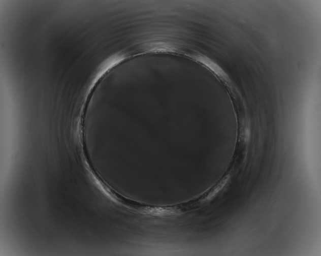 X0000084520806200703231629