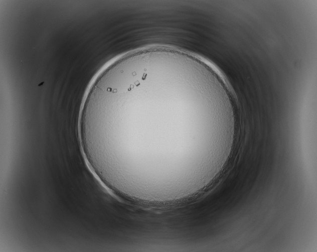 X0000084520807200703231629