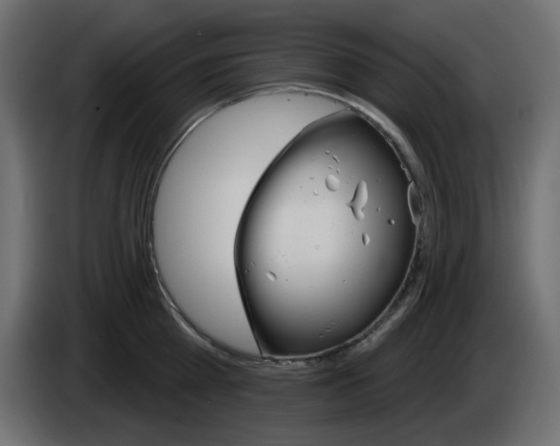 X0000084520809200703231629