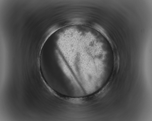 X0000084520810200703231629