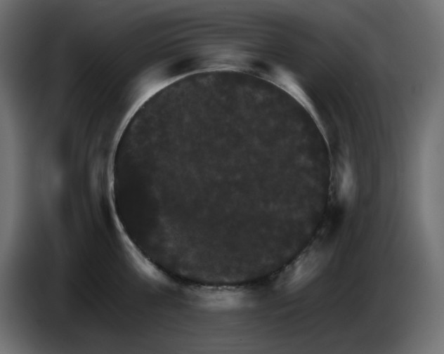 X0000084520811200703231629