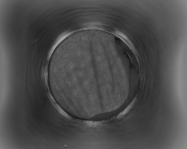 X0000084520812200703231629
