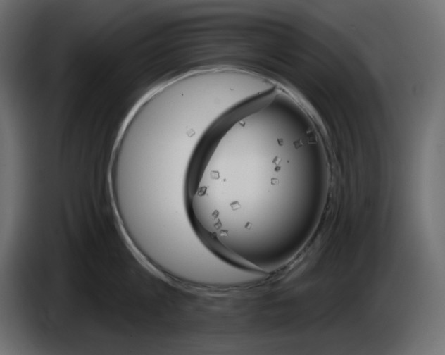 X0000084520813200703231629