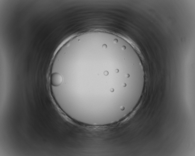 X0000084520814200703231629