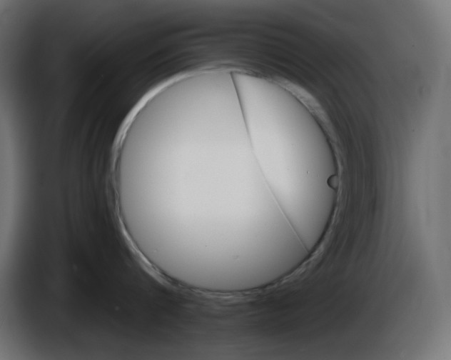 X0000084520816200703231629