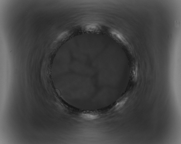 X0000084520817200703231628