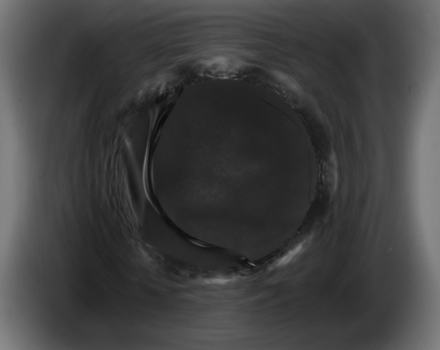 X0000084520818200703231628