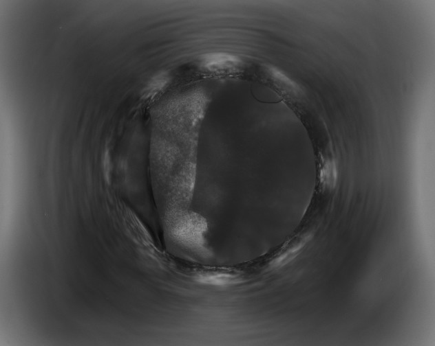 X0000084520819200703231628