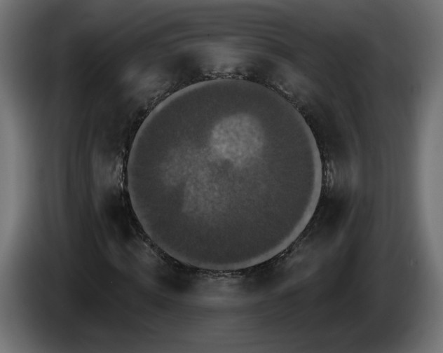 X0000084520820200703231628