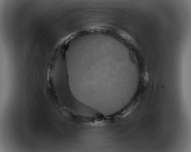 X0000084520822200703231628