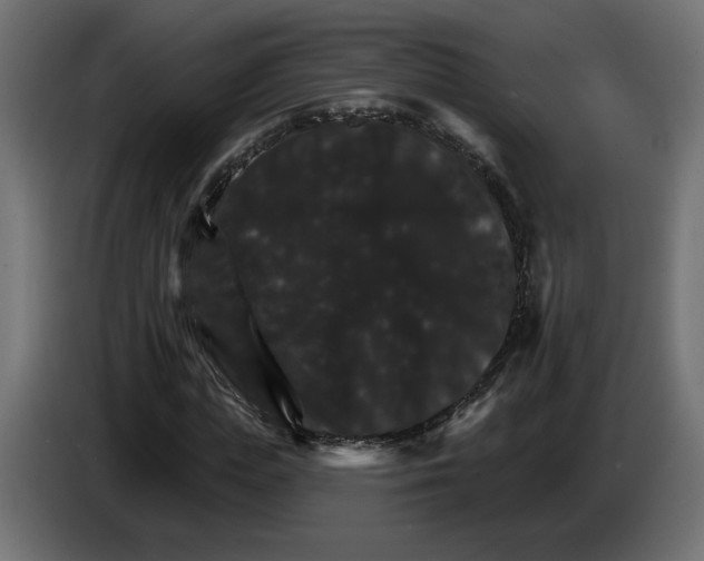 X0000084520823200703231628
