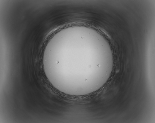X0000084520824200703231628