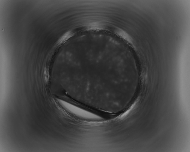 X0000084520825200703231628