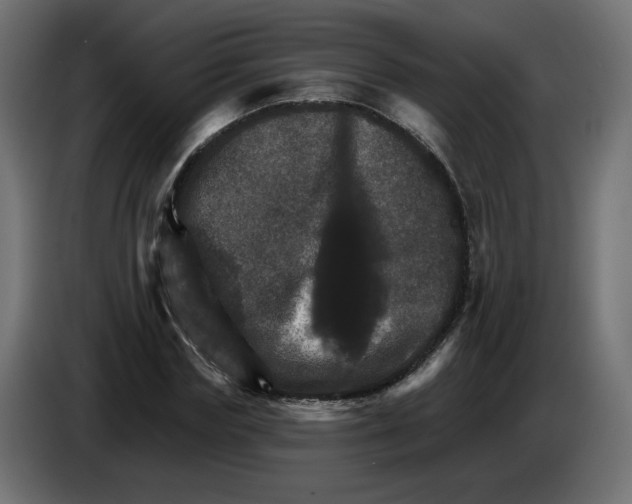 X0000084520827200703231629