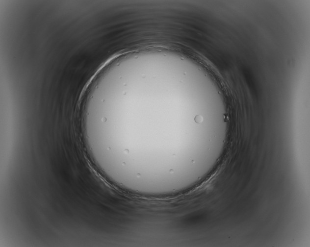 X0000084520828200703231629