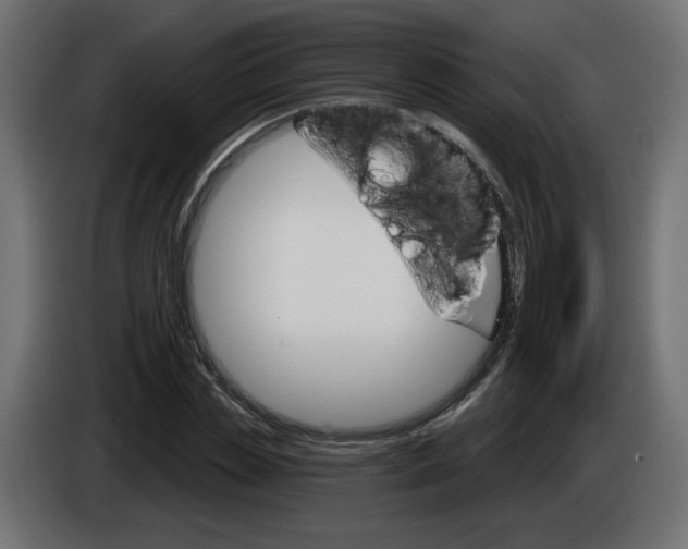 X0000084520829200703231629