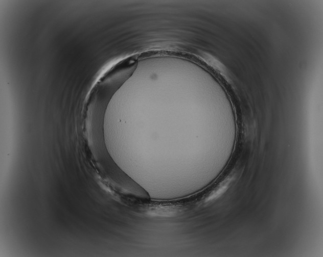 X0000084520830200703231629