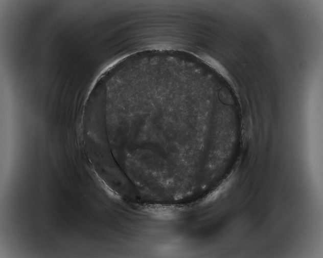 X0000084520831200703231629