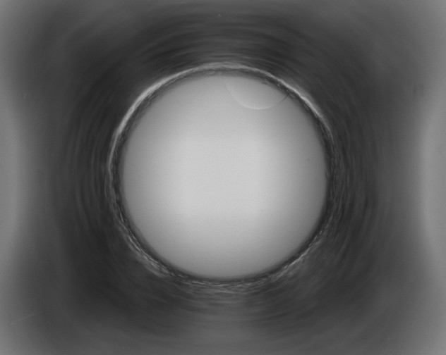 X0000084520832200703231629