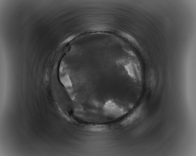 X0000084520833200703231629