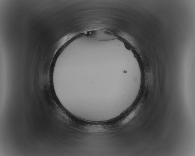 X0000084520834200703231629