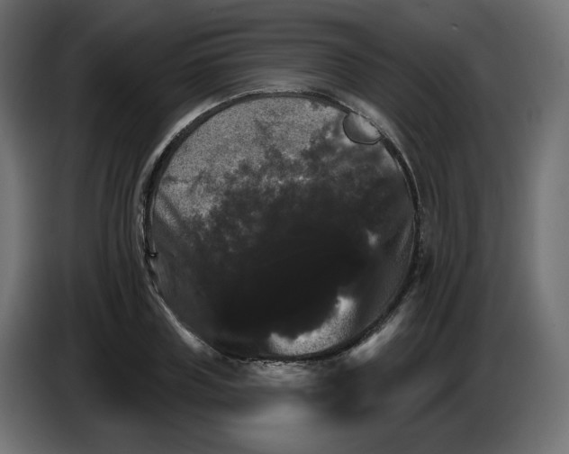X0000084520835200703231629