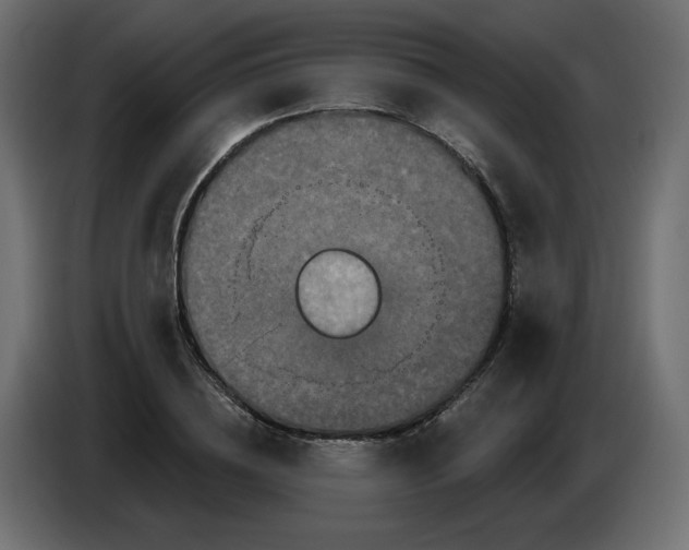 X0000084520836200703231629