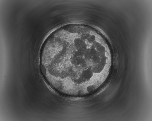 X0000084520837200703231629