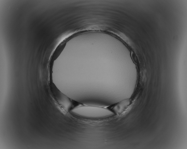 X0000084520838200703231629