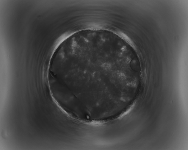 X0000084520839200703231629