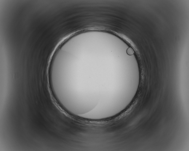 X0000084520840200703231629