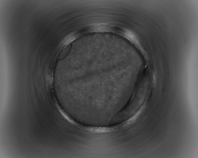 X0000084520841200703231629