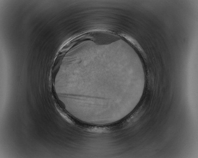 X0000084520842200703231629