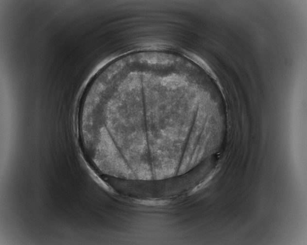 X0000084520843200703231629