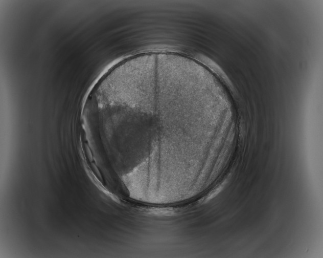 X0000084520844200703231629