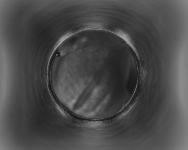 X0000084520845200703231629