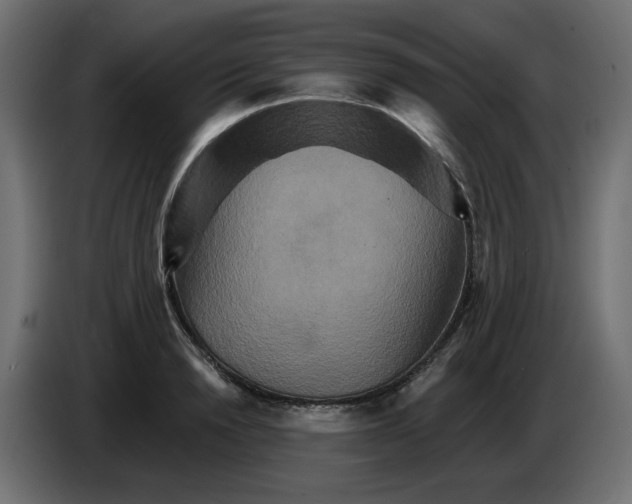 X0000084520846200703231629