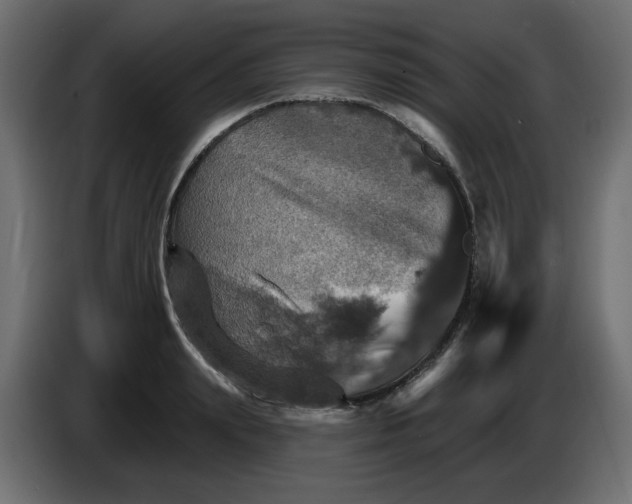 X0000084520847200703231629